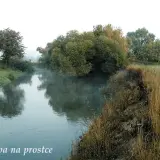 Odkryj różnorodność ryb w rzece Świniec - Idealne miejsce dla wędkarzy