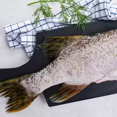 Cena za 1 kg szczupaka - ile kosztuje szczupak?