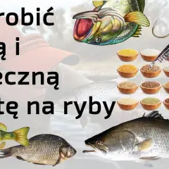 Najlepsze przynęty do żaka na ryby - skuteczne sposoby wabienia zdobyczy