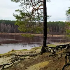 Moszczonne - ukryta wieś z pięknym jeziorem i lokalnymi atrakcjami