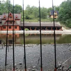 Wędki nad jeziorem z drewnianymi domkami i zadaszoną restauracją w tle.