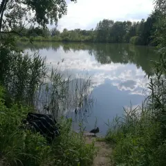 Glinianki Zielonka - Stawy w miejscowości Zielonka