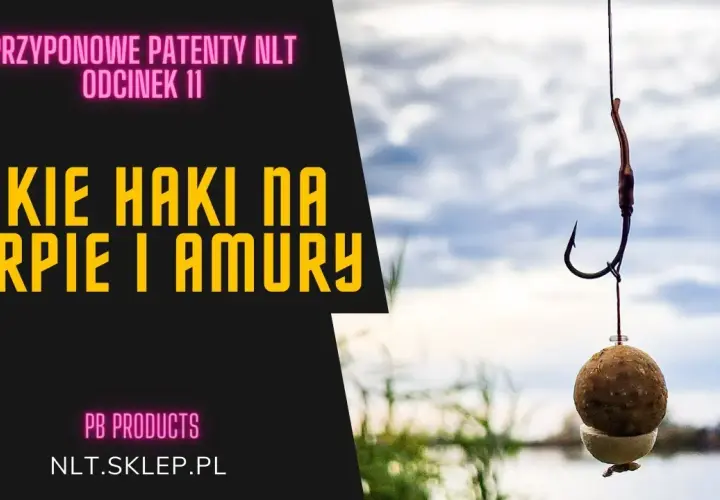 Jaki haczyk na karpia - najlepsze haczyki i rozmiary