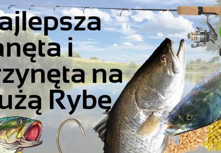 Rozwiązania do krzyżówki: przynęta na ryby - znajdź idealne hasła