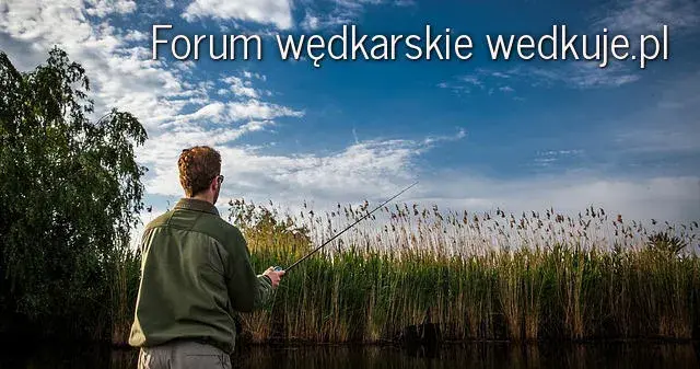 Przynęty Osmo opinie: Czy naprawdę są skuteczne w wędkarstwie?