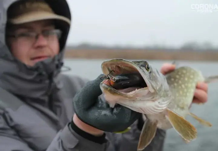 Jaka plecionka do multiplikatora - wybierz najlepszą dla siebie