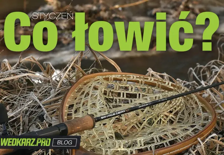 Czy można łowić na spinning w styczniu? Sprawdź, jakie ryby możesz złowić