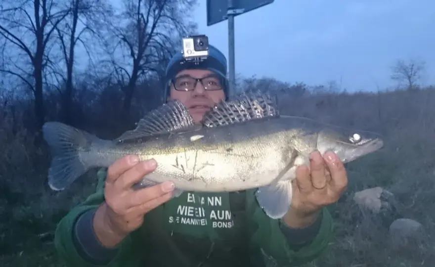 Jak łowić na rzece spinning - skuteczne techniki dla początkujących