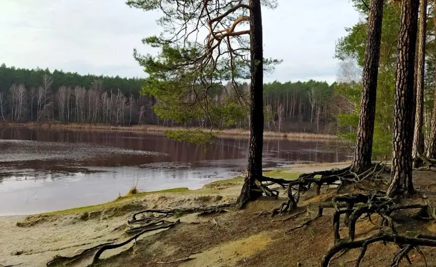 Moszczonne - ukryta wieś z pięknym jeziorem i lokalnymi atrakcjami