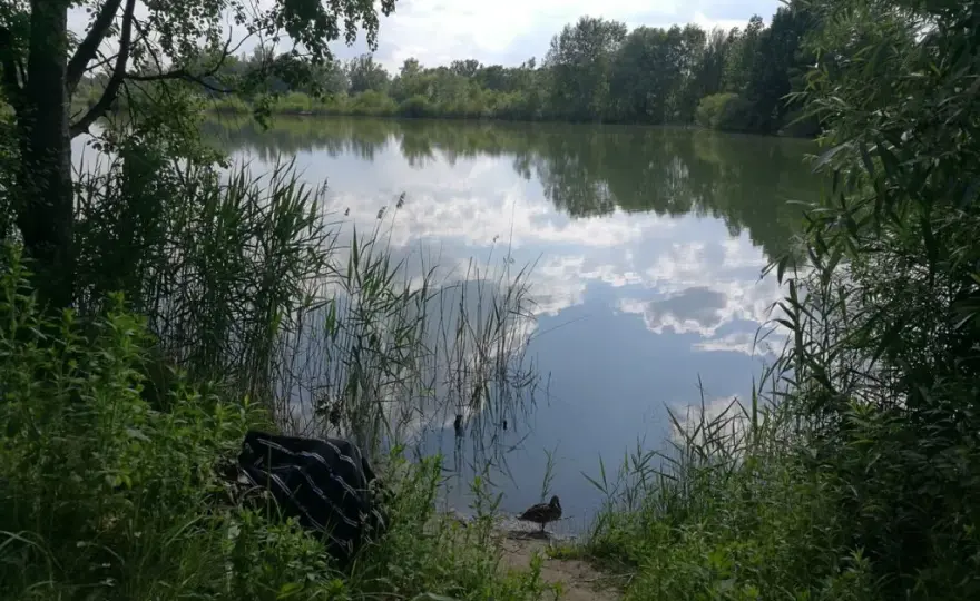 Glinianki Zielonka - Stawy w miejscowości Zielonka