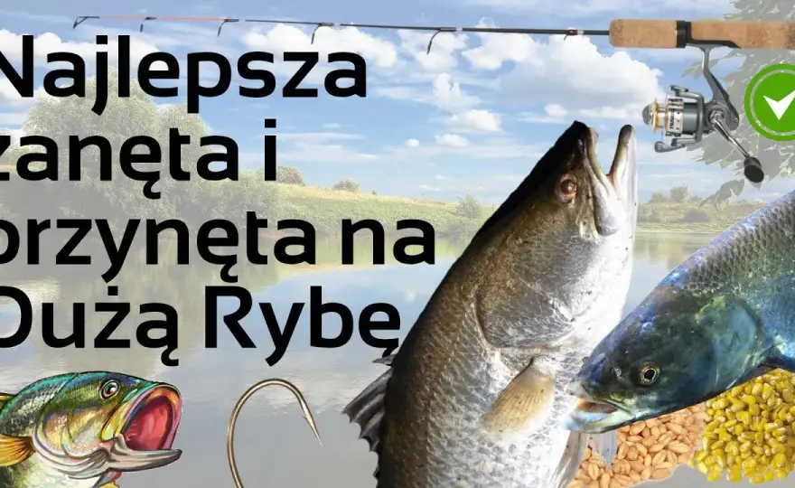 Rozwiązania do krzyżówki: przynęta na ryby - znajdź idealne hasła